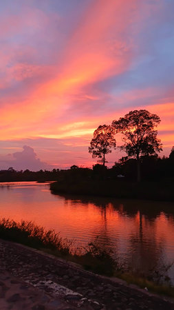 Colorful Nature View in The Eveningの写真素材