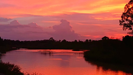 Colorful Nature View in The Eveningの写真素材