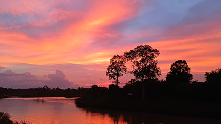 Colorful Nature View in The Eveningの写真素材
