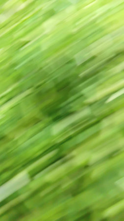 Blurred Green Vegetable Slices as Abstract Backgroundの写真素材
