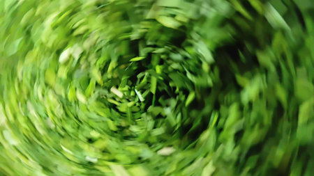 Blurred Green Vegetable Slices as Abstract Backgroundの写真素材