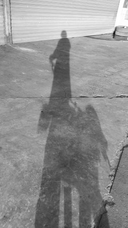 Shadow of Human and Dog are Exercising Each Other as Black and White Tone