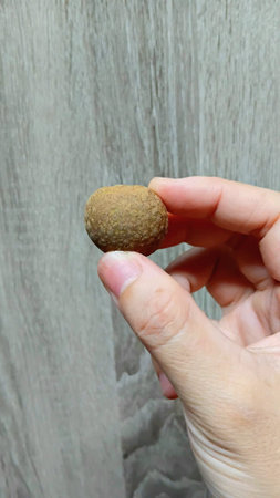 Longan on Hand for Eating after Meal