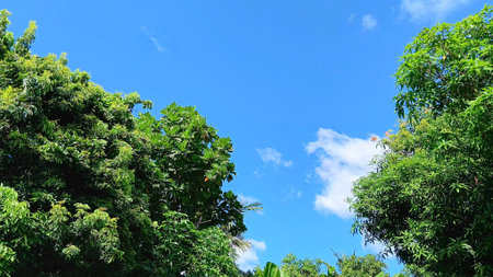 Beautiful Sky for Designing Backgroundの写真素材