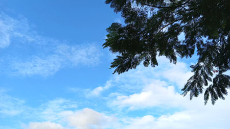 Beautiful Sky View for Designing Backgroundの写真素材