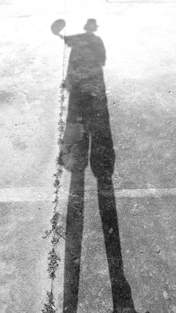 Shadow of man on basketball court as black and white toneの写真素材