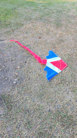 Kite at The Public Parkの写真素材