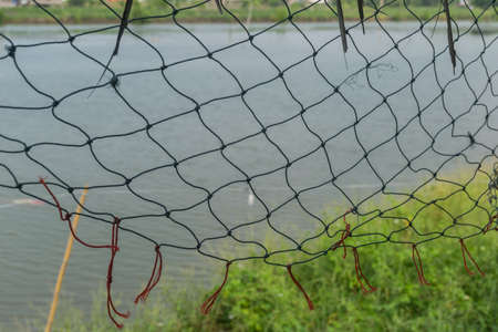 Pattern of plastic net in the shelter beside the lake on a sunny day.の写真素材