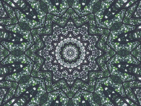 The kaleidoscope of green leaf trees in the park.の写真素材
