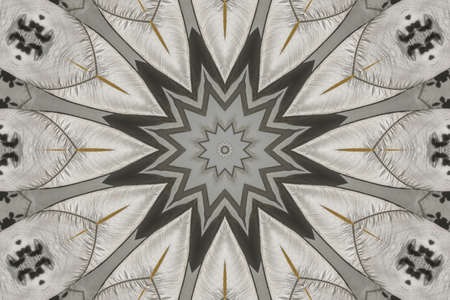 The kaleidoscope of translucent canvas roof with a center pole in the park.の写真素材