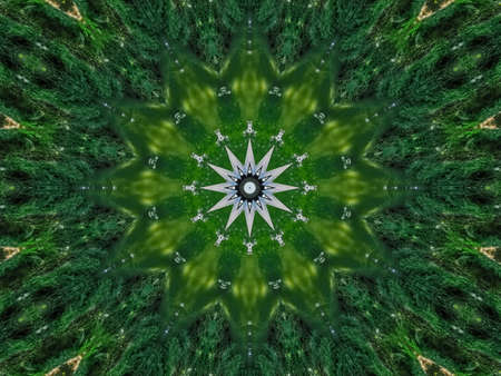 Kaleidoscope of bridge over the canal in the park in the afternoon. Green toned.の写真素材