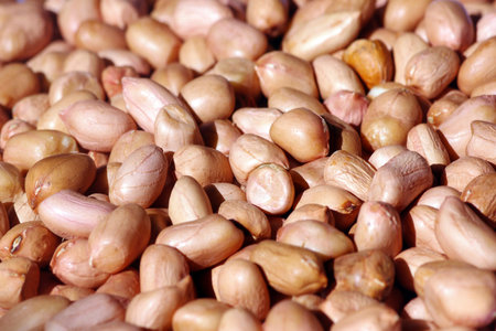 The peanut, also known as the groundnut, goober (US)  or monkey nut (UK), and taxonomically...