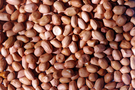 The peanut seeds and leaves, also known as the groundnut  or monkey nut, and taxonomically...