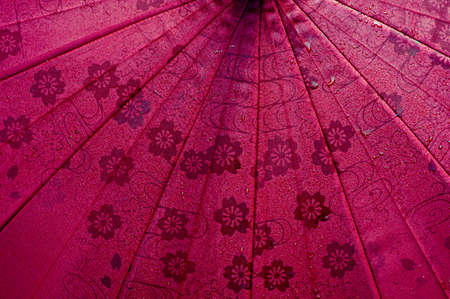 Red floral cloth with water splashesの写真素材