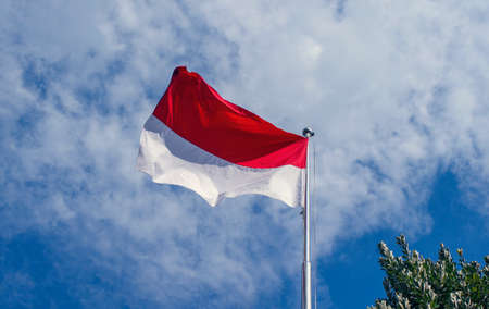 Indonesia and Monaco national flag with bluesky and greenery backgroundの写真素材