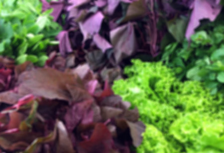 Defocused abstract background of colorful vegetables in the supermarket