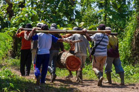 Yogyakarta, Indonesia - April 19, 2021: Traditional wood transport from the forest in Indonesia,...