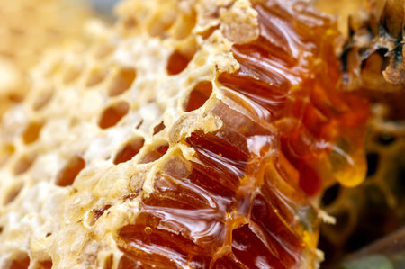 Close up of honey bee nest, hives, in shallow focus, from natural rain forest in Gunung Kidul,...