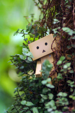 A cardboard in the garden  with a bokeh background, in shallow focusの写真素材