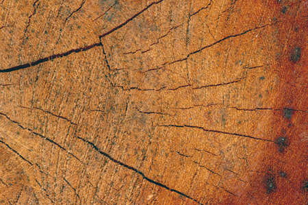 The surface of an old wood for natural backgroundの写真素材