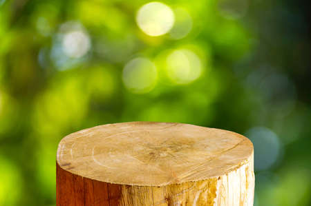 Round wooden saw cut cylinder shape for product display with green bokeh abstract backgroundの写真素材