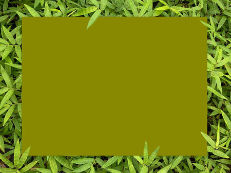 Square border green bamboo leaves frame  and empty green copy-space paper