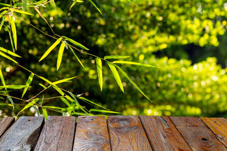 Wooden board empty table in front of bamboo green leaves background for display of productの写真素材