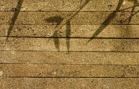 Natural dark plaid stone wall background with bamboo leaves shadowの写真素材