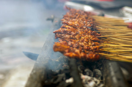 Sate Ayam or Chicken Satay, a traditional satay from Yogyakarta, Indonesia, in shallow focus and motion blurred backgroundの写真素材
