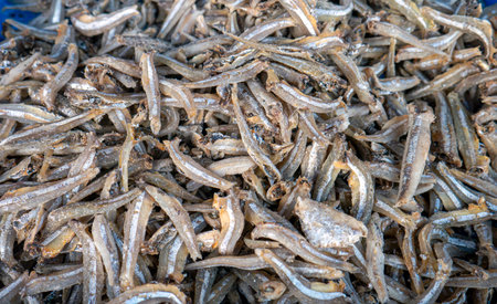 Ikan asin, salted fish  at traditional market in Yogyakarta, Indonesia.の写真素材