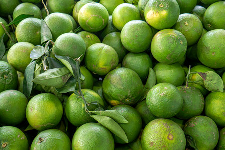 A pile of ripe baby oranges in the supermarketの写真素材