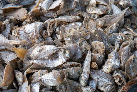 Ikan asin, salted fish  at traditional market in Yogyakarta, Indonesia.の写真素材