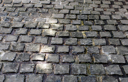 Volcanic stone slabs floor, for natural background.の写真素材