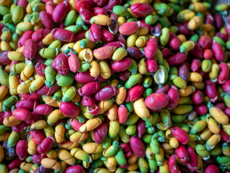 Kulit Melinjo, Gnetum gnemon skin, for a vegetable ingredient