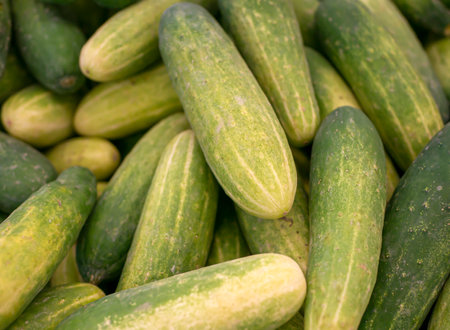 A pile of fresh cucumbers on shelf in supermarket.の写真素材