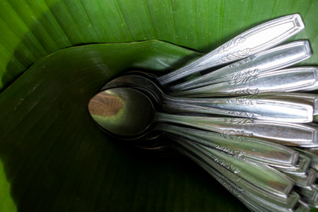 Stainless steel spoons on green banana leaves.の写真素材