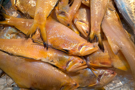 Close up of Oranges fishes, on ice at traditional market, Pasar Penuin Wet Market in Batam City,...