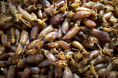 Dried baby squid, Sotong, salted squid at traditional market in Batam, Indonesia.