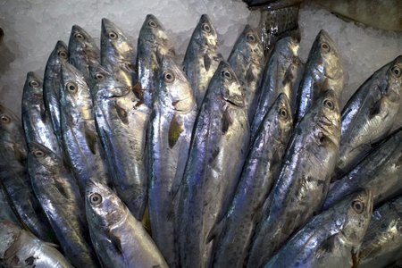 Mackarel tuna, Sardine, Scomber scombrus, fresh fish in a traditional market in Yogyakarta,...