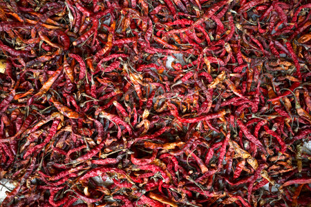 Dry Cabai rawit (Capsicum frutescens), a wild hot chili pepper for cooking. Natural background.