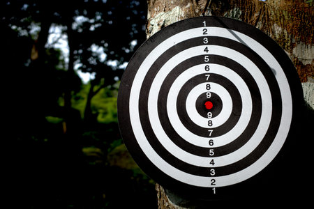 A black and white target board with a red bulleye and dark background.