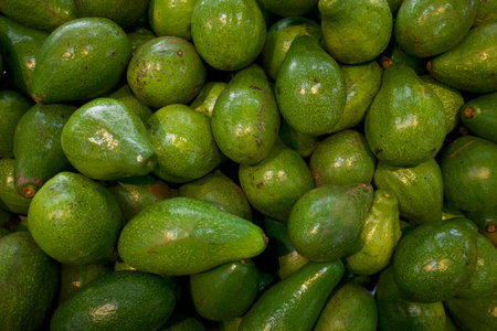 A pile of green raw avocados, Persea americana in the supermarket, food background.