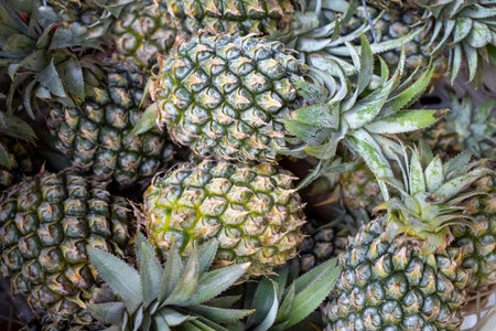 Fresh pineapple (Ananas comosus) on the traditional market in Yogyakarta, Indonesia.