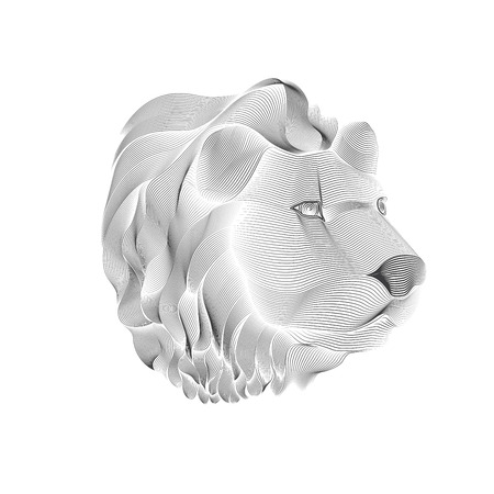 graphic of lion head in lined drawing styleのイラスト素材