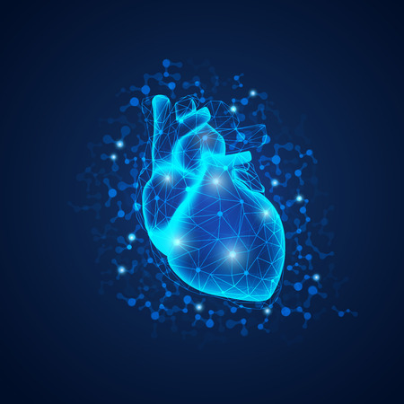 Graphic of realistic heart with polygonal structure in scientific style, concept of science technology advancement.のイラスト素材
