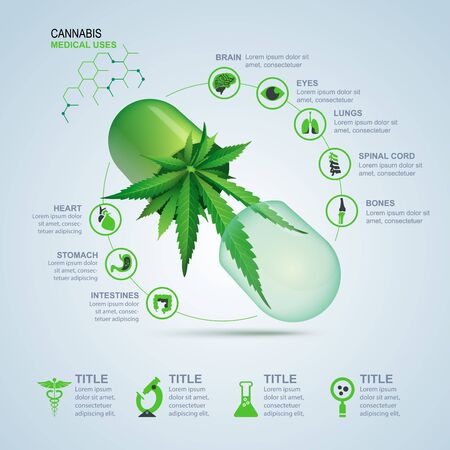 concept of cannabis for medical uses infographic, green pill with cannabis leaf insideのイラスト素材