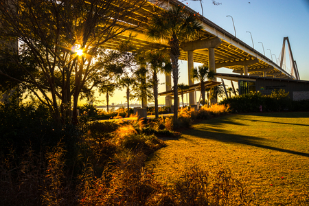 sun beaming through trees in a park under a bridgeの写真素材