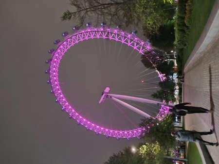 Giant ferris wheel at nightの写真素材