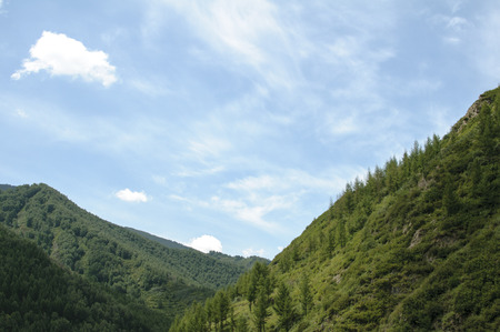 Landscape view of mountainの写真素材