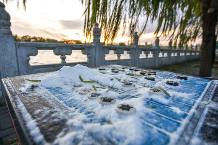 chessboard during winterの写真素材